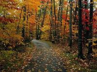pic_herfst_02